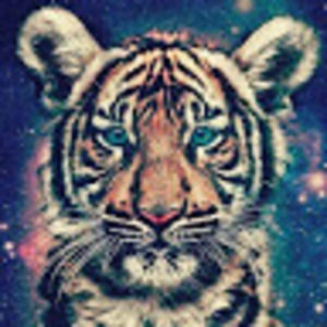 Meet your Posher, Patrick